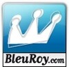 BleuRoy.com - Groupe HighCo 