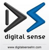 Digital Sense Inc.